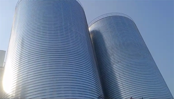 镇雄2座混凝土高架卷板仓